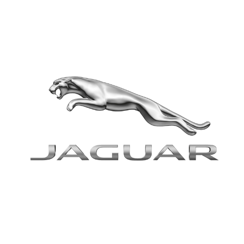 AutoSock ist anerkannt und zugelassen nach internem Standard von Jaguar