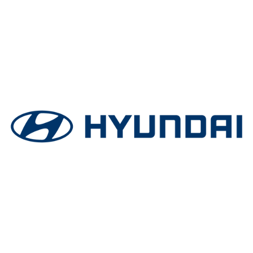 AutoSock ist anerkannt und zugelassen nach internem Standard von Hyundai